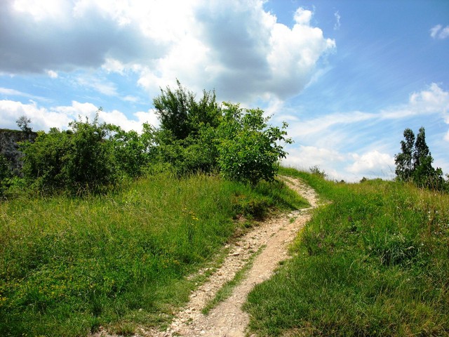 Chemin  vrai.jpg