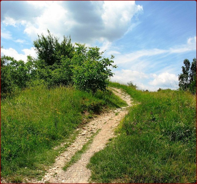 Chemin  vrai.jpg