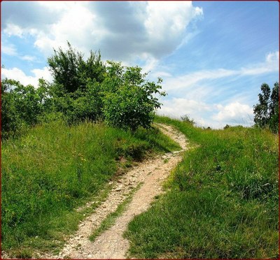 chemin vrai.jpg