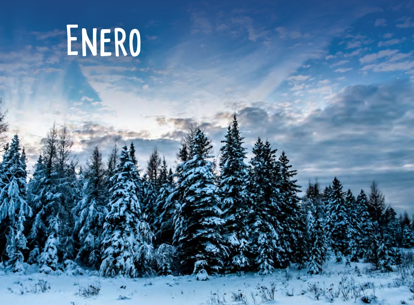 Calendario enero